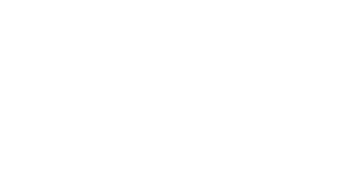 Stieger Business und Live Coaching